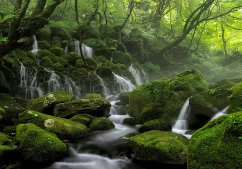 آبنما طبیعی