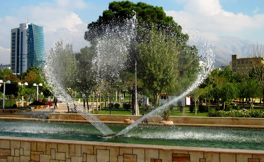 افکت بال پرنده