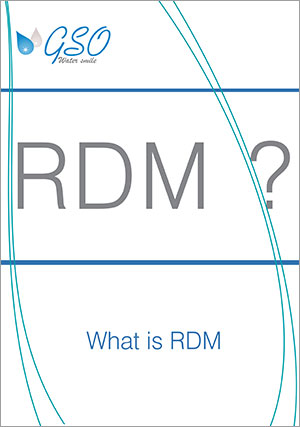 RDM چیست؟