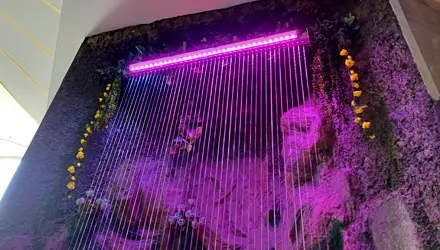 آبنما دکوراتیو مجتمع طلا آبنما دکوراتیو